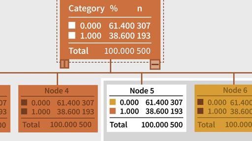 Machine Learning and AI Foundations: Decision Trees with SPSS