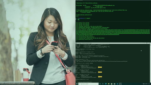 Active Directory for Offensive Security Professionals