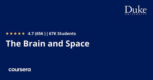 The Brain and Space