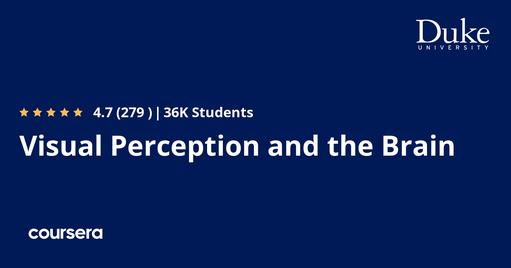 Visual Perception and the Brain