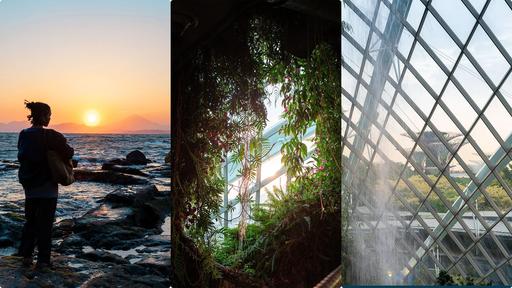 A Fast & Efficient Workflow for Stunning Photos with Adobe Lightroom Classic