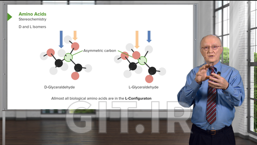 Biochemistry: Basics