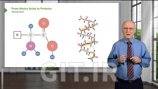 Lipid Metabolism