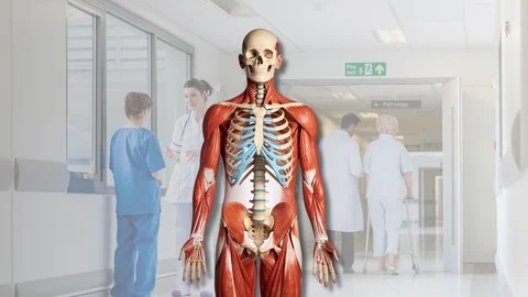 Human Anatomy & Physiology: Structural Organization of Body