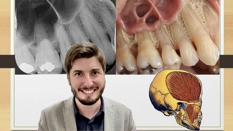 Mastering Head & Neck Anatomy: 2D Radiographs and 3D Images