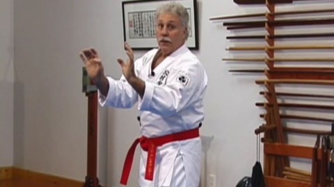 Okinawan White Crane Karate - Speed and Evasion Vol. 1