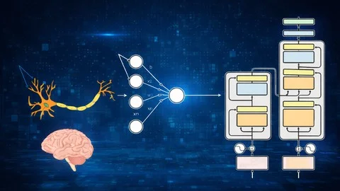 From Simple Perceptron to Transformer: Master Neural Network