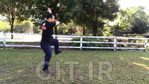 Chen Style Tai Chi Competition Routine - 56 Postures Chen Style Tai Chi Competition Routine - 56 Postures