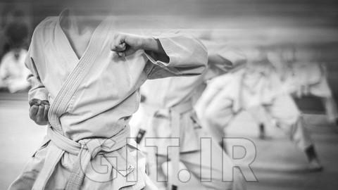 Shotokan Karate-Do Interactive manual