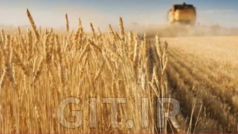 The Soft Commodity Trading Life Cycle from A to Z (part 1)