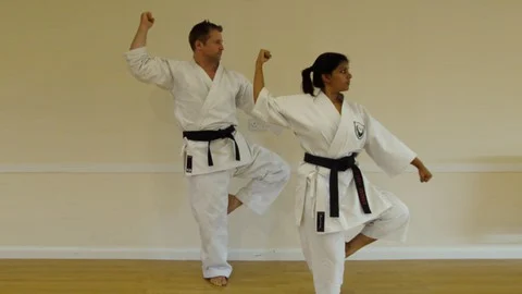 Get My Black Belt: Wado Ryu Karate (Part 2)