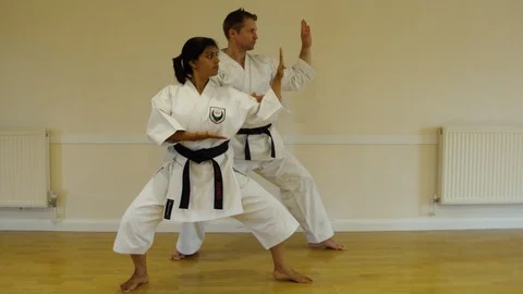 Get My Black Belt: Wado Ryu Karate (Part 1)
