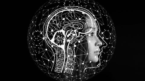 Learn Psychoneuroimmunology