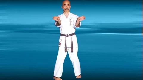 Okinawa Uechi-Ryu Karate-Do by Takemi Takayasu Vol.1