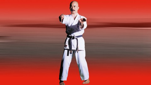 Okinawa Uechi-Ryu Karate-Do by Takemi Takayasu Vol.2