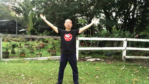 Six Healing Sounds Qi Gong with Tai Chi for Relaxation Six Healing Sounds Qi Gong with Tai Chi for Relaxation