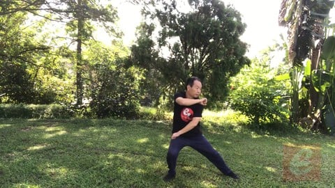 Sparring Tai Chi-Chen New Frame Routine XinJia 2 for Fitness Sparring Tai Chi-Chen New Frame Routine XinJia 2 for Fitness