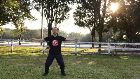 Tai Chi Standing Qi Gong - Relaxation of Mind and Body Tai Chi Standing Qi Gong - Relaxation of Mind and Body