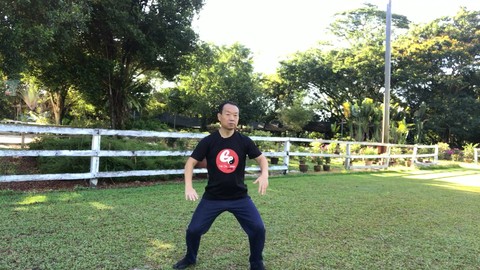 Tai Chi to Strengthen Bones, Halt Bone-thinning Osteoporosis Tai Chi to Strengthen Bones, Halt Bone-thinning Osteoporosis