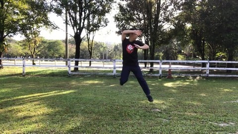 The Original Tai Chi Martial Art - Chen Style Old Form One The Original Tai Chi Martial Art - Chen Style Old Form One