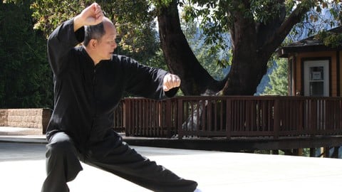 Yang Tai Chi 108 Form Parts 2 and 3 with Master Yang (YMAA) Yang Tai Chi 108 Form Parts 2 and 3 with Master Yang (YMAA)