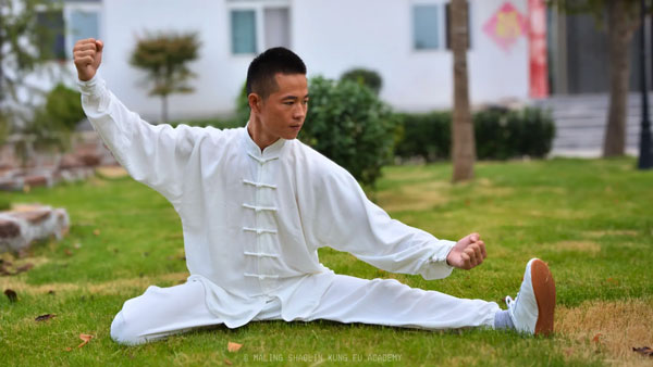 Kung Fu