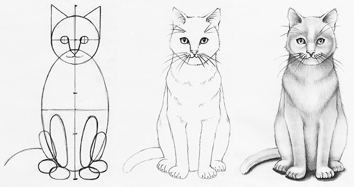 Realistic Cat Drawing Tutorial