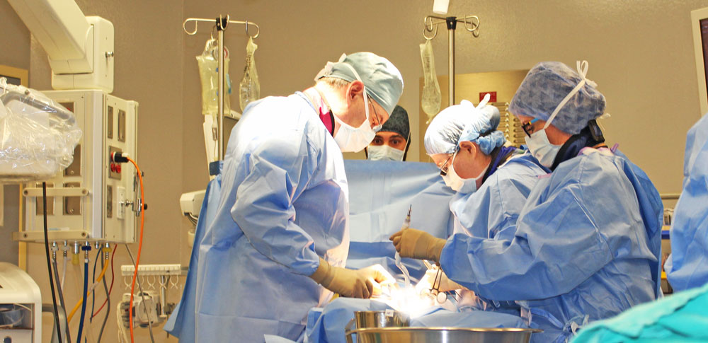 Surgical and Medical Training Courses
