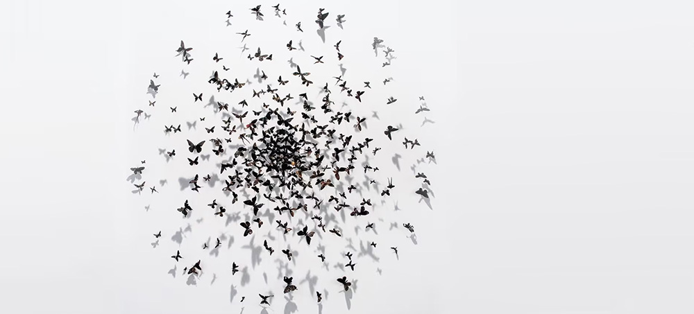 Collaborative Overload by Rob Cross, Reb Rebele, and Adam Grant
